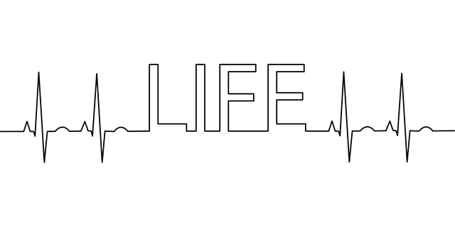 imagem-banner